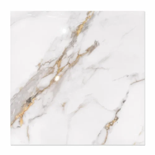 Floor tile Gloss Porcelain  TM66030  600x600 1,44m²