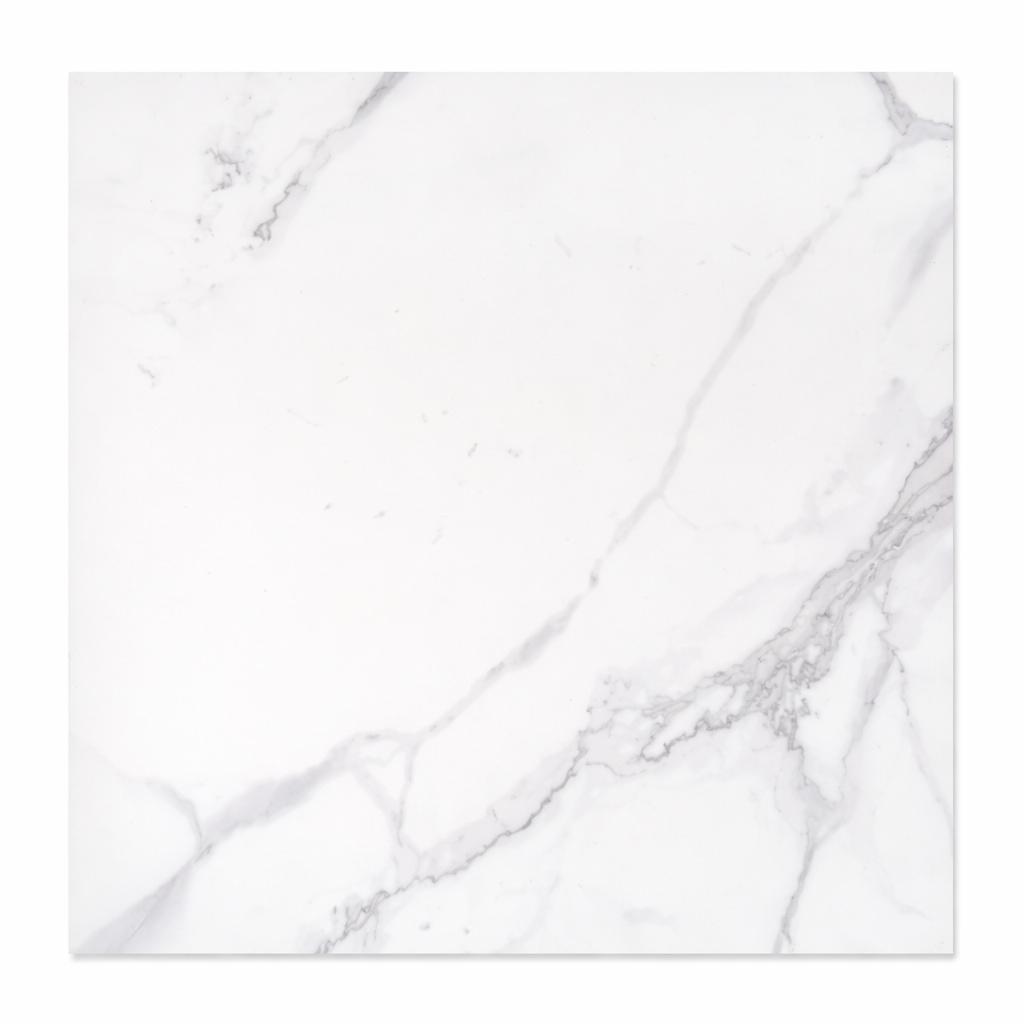 Floor tile Matt Porcelain  TM10069 Calcatta²